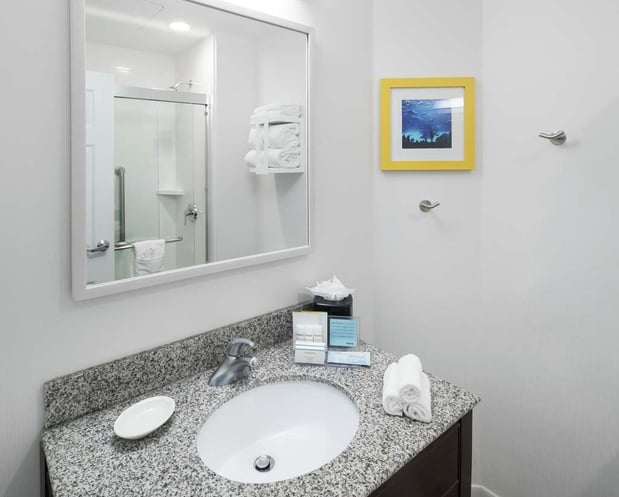 Images Hampton Inn & Suites Atlanta-Downtown