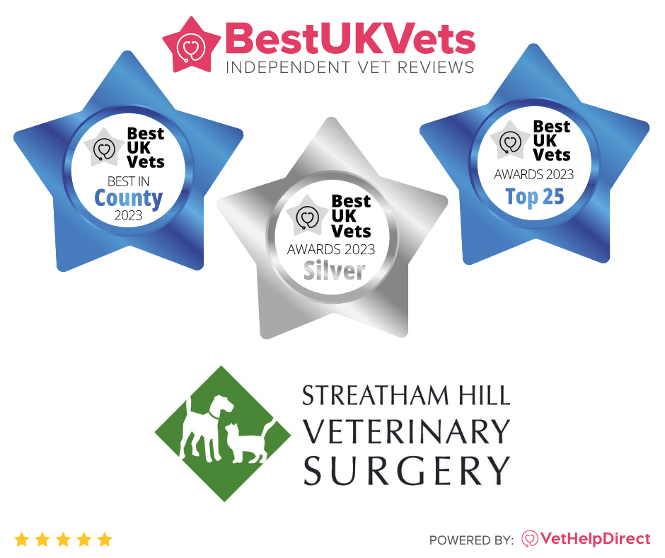 Images Streatham Hill Veterinary Surgery