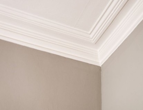 Plaster Moulding Services
