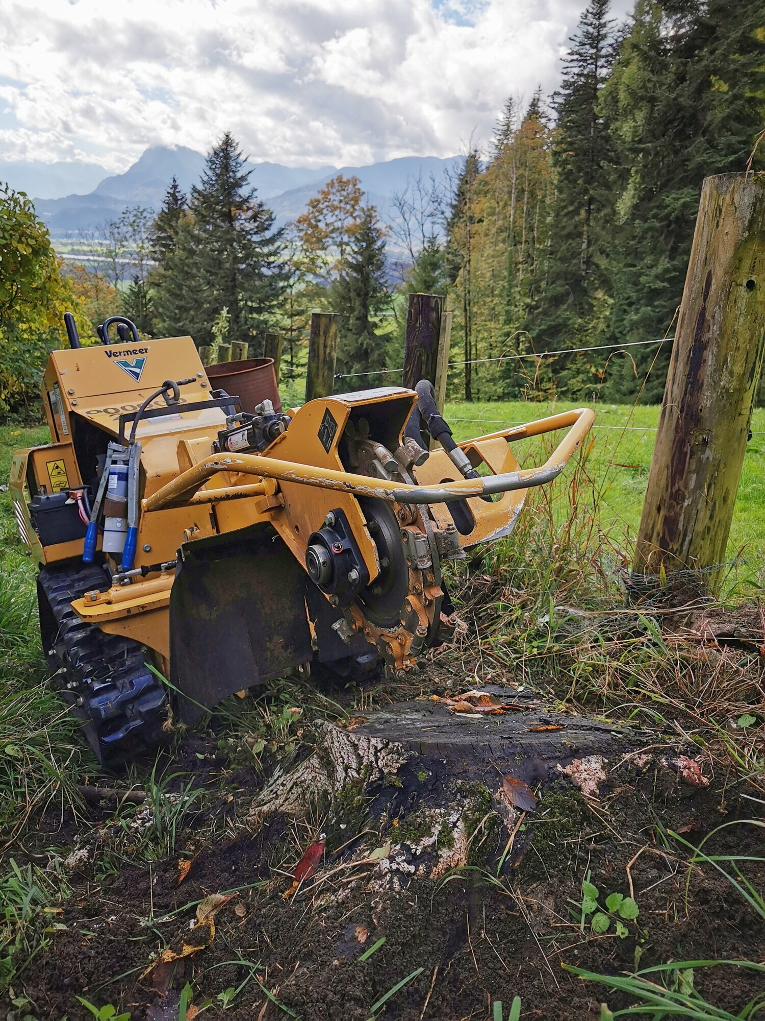 Baumstumpffräsen Tobias Baier, Mangfallstraße 16B in Bad Aibling