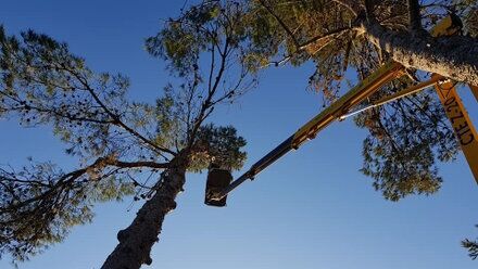 Images Il Punto Verde