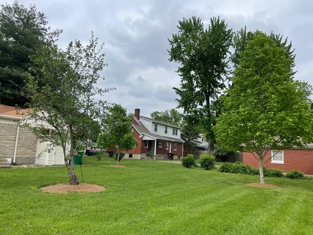 Images Perennial Dental