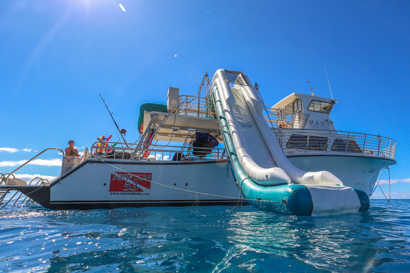 Images Maui Snorkeling