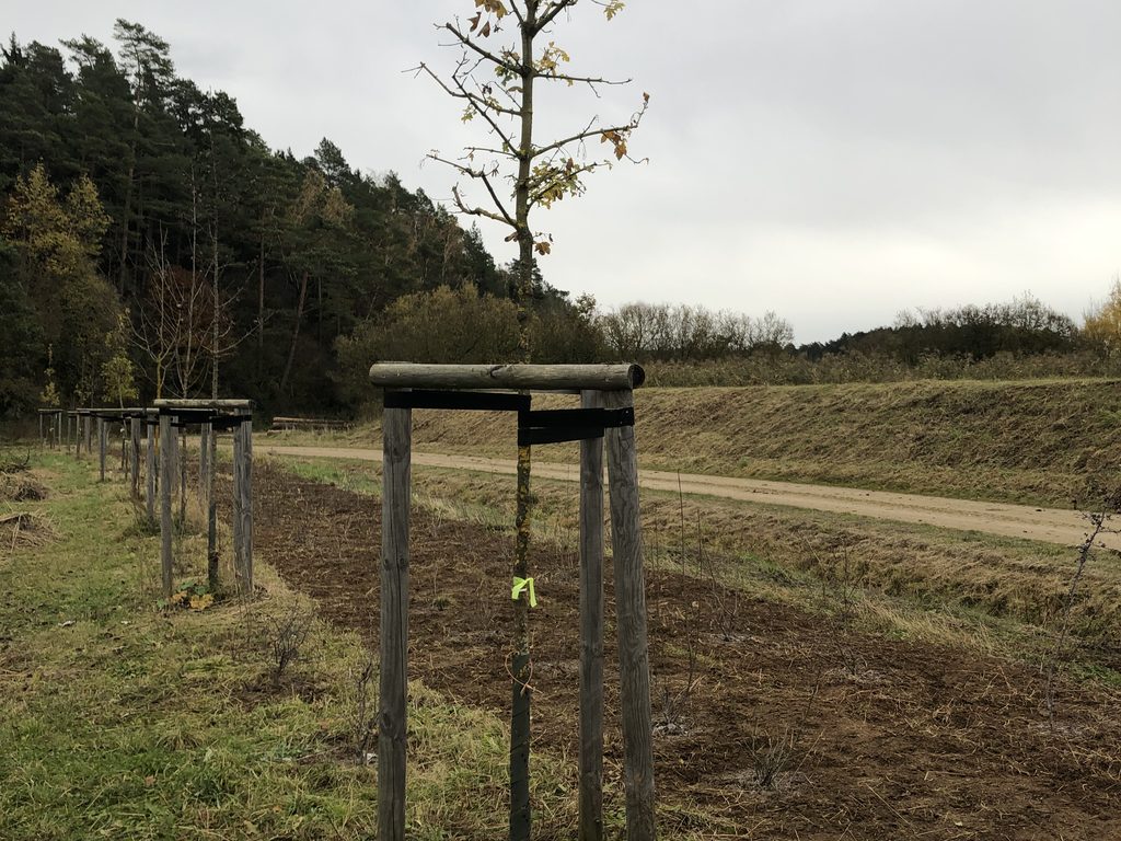 Bilder SLP Kraus GmbH | Photovoltaikflächen-Management & Grünpflege