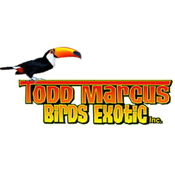 Todd Marcus Birds Exotic Logo