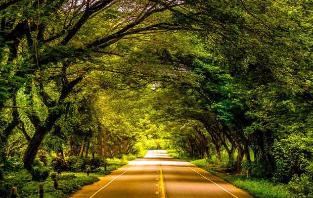 Images Watson Hill by Ashton Woods