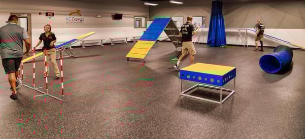 Images KC Dawgz Dog Training Academy