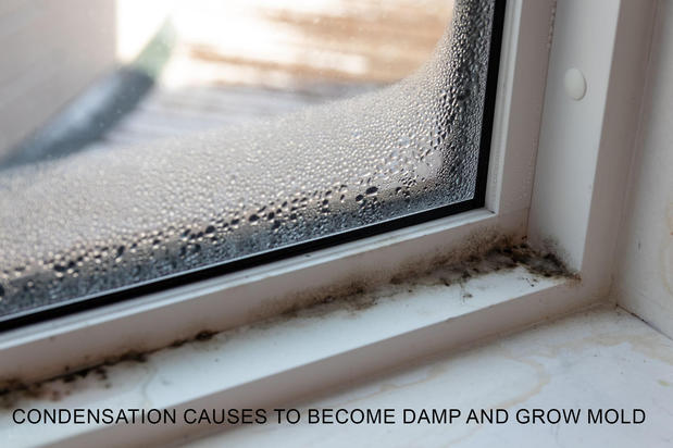 Images California Healthy Home Inspections