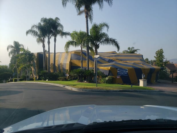 Images Southern California Exterminators