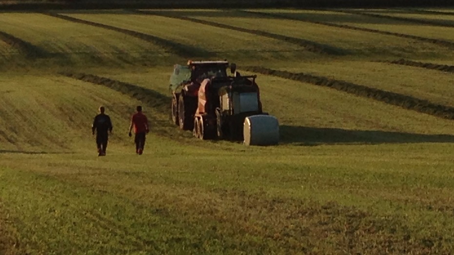 Images Flemløse Maskinforretning ApS