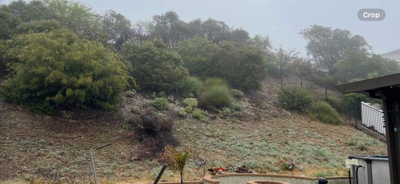 Images Palacios Landscaping
