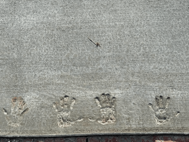 Images Brian Brakefield - State Farm Insurance Agent