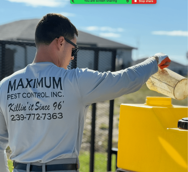 Images Maximum Pest Control
