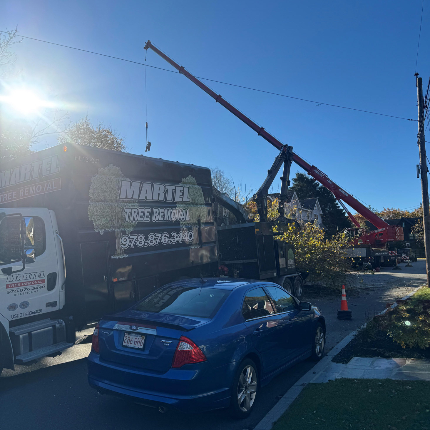 Martel Crane Service & Tree Removal Image