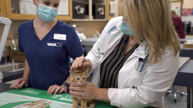 Images VCA Montgomery Road Animal Hospital