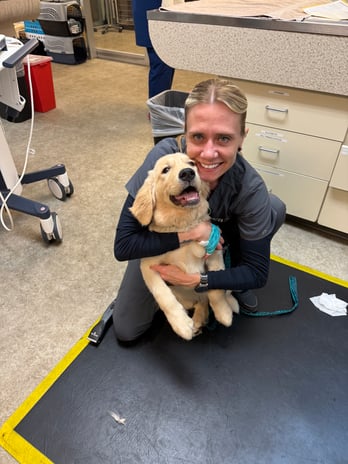 Images VCA Southeast Portland Animal Hospital