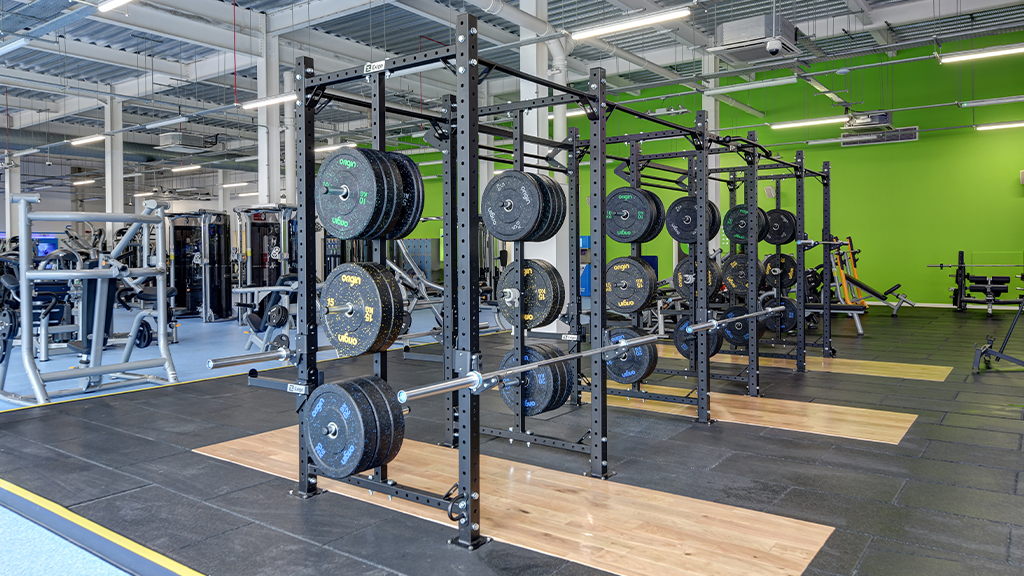 Free Weight Area