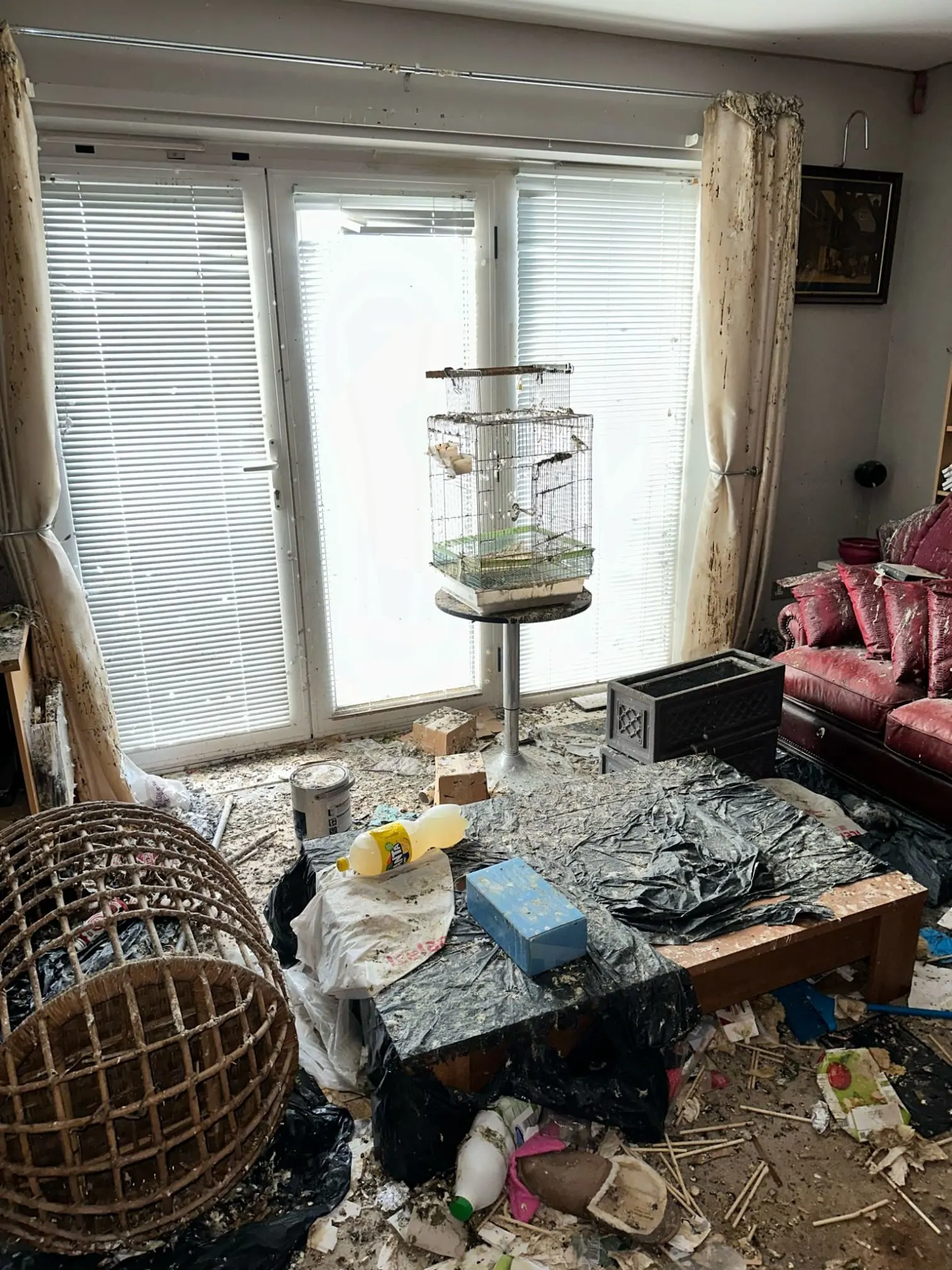 Images First Choice Maintenance Services