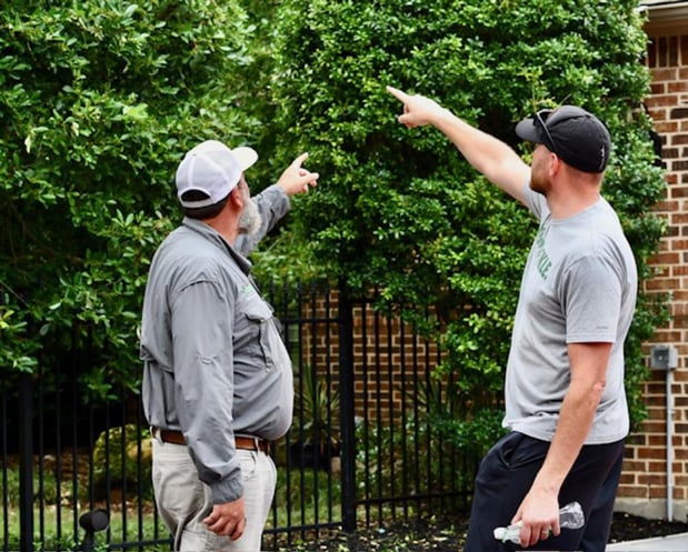 Images Abracadabra Lawn Pest & Weed Control