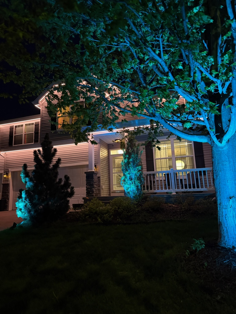 Landscape and architectural lighting illuminating trees, the entryway, and exterior features around a residential property at night.