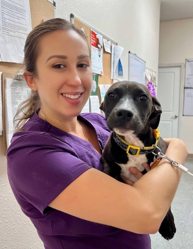 Images Sunshine Animal Hospital