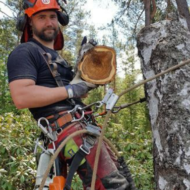 Images Metsä Matikainen Oy