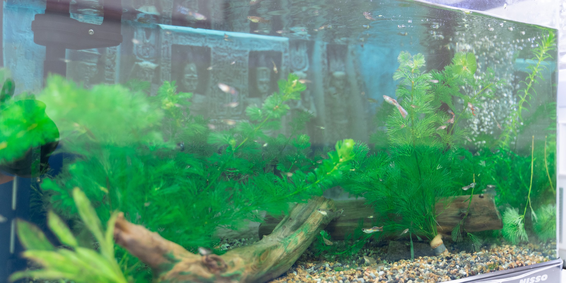 Images 医療法人社団　笠間歯科