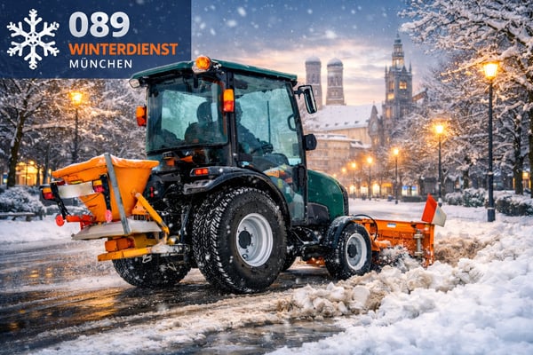Bilder 089 Winterdienst München