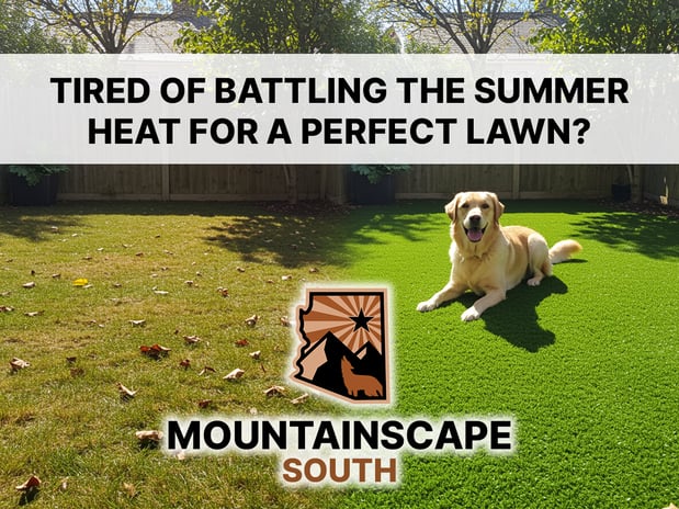 Images Mountainscape South, Inc.