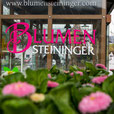 Bild 1 von Blumen Steininger