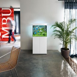 Juwel Aquariums