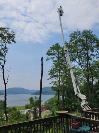 Images Second Nature Tree LLC