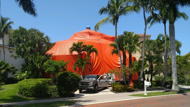 Images Dynamic Pest Control Inc