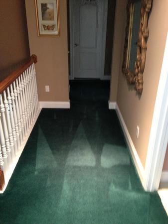 Images Royal Carpet Cleaners