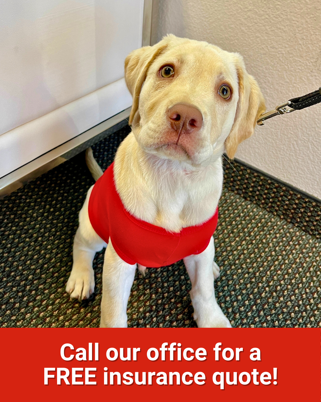 Give our State Farm office a call today for a free quote!
