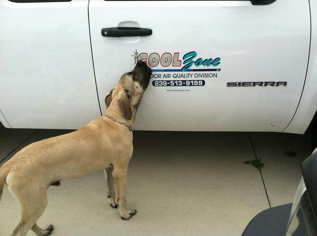 Images Cool Zone Inc