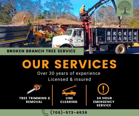 Images Broken Branch Tree Service LLC