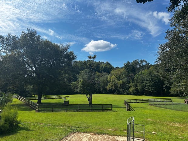 Images Custom Canine Unlimited