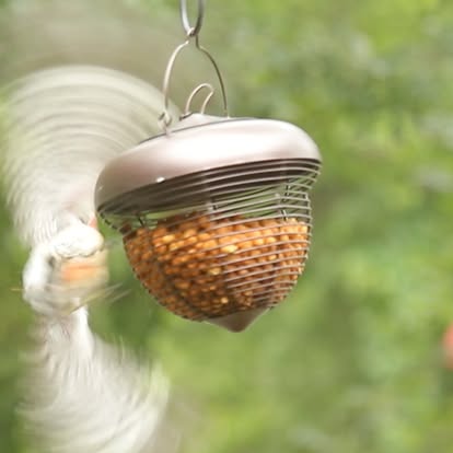 Gallery thumbnail