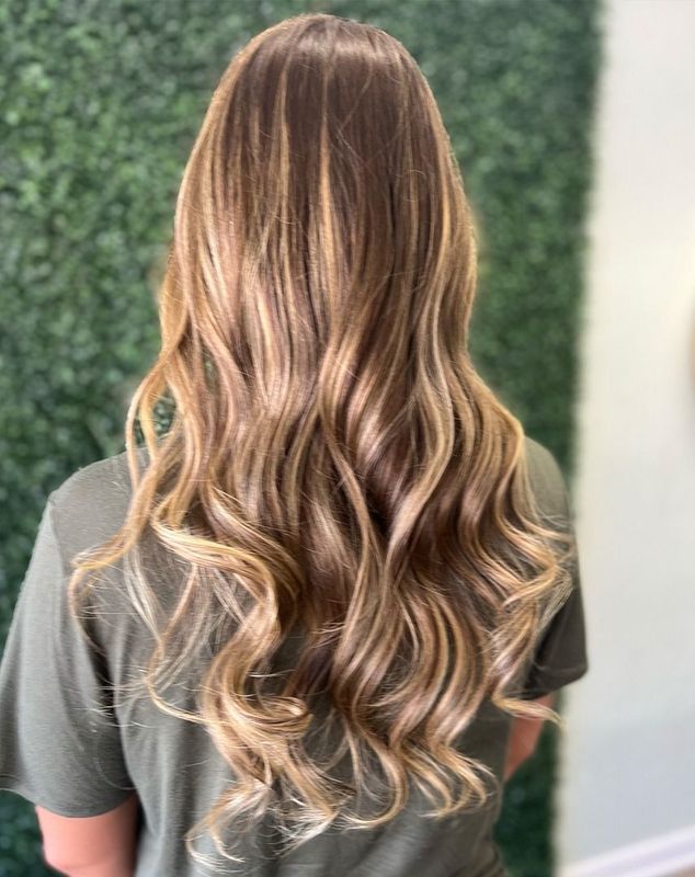 Images The Mane Attraction