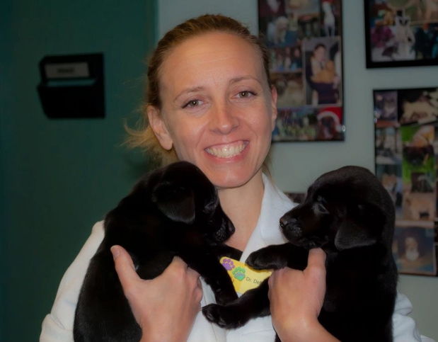 Images Atlantic Highlands Animal Hospital