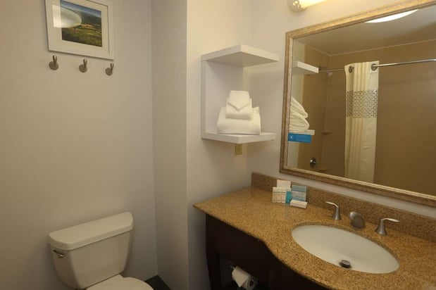Images Hampton Inn Owego