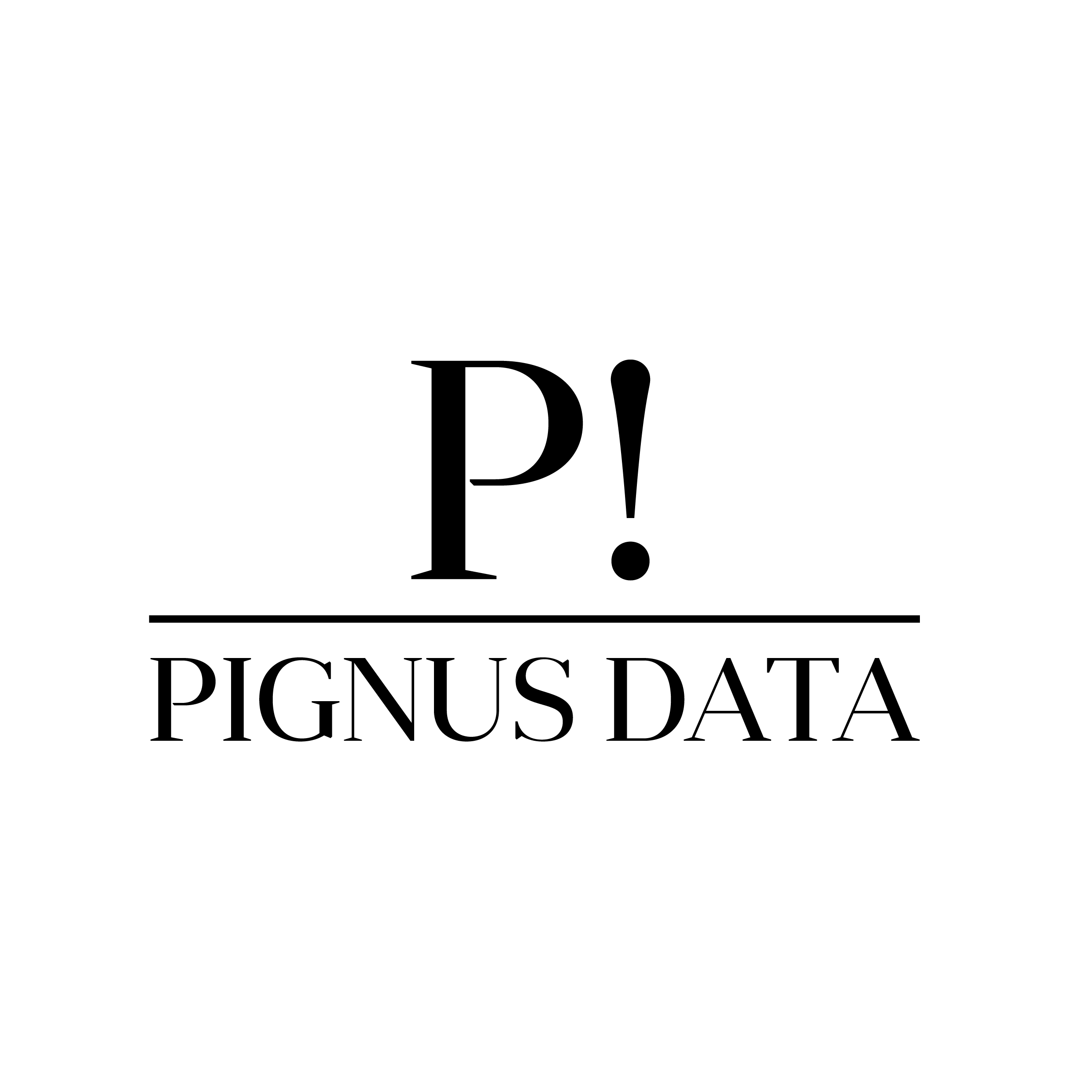 Pignus Data - einfache und passende Datenschutzlösungen in Neumarkt in der Oberpfalz - Logo
