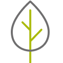 Leaf icon.