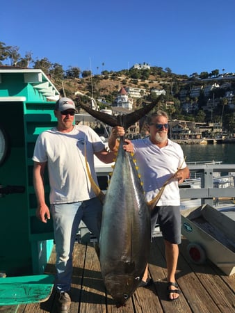 Images Avalon Anglers