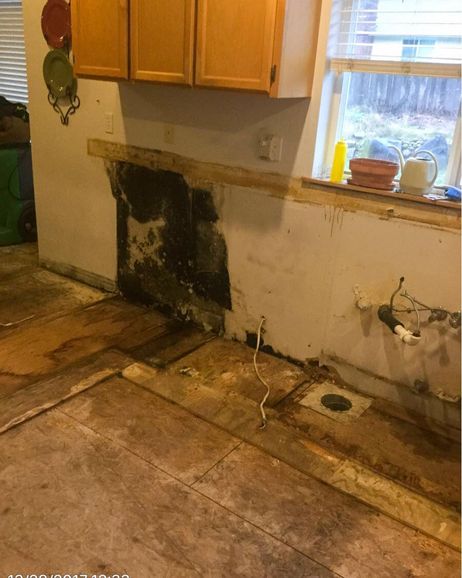 Once your home has a mold infestation, quick cleanup and remediation are vital to keeping the damage at a minimum and spreading to non-affected areas. If you have any questions or would like to schedule service for your Tenino, WA home, please give SERVPRO of  Lacey a call.