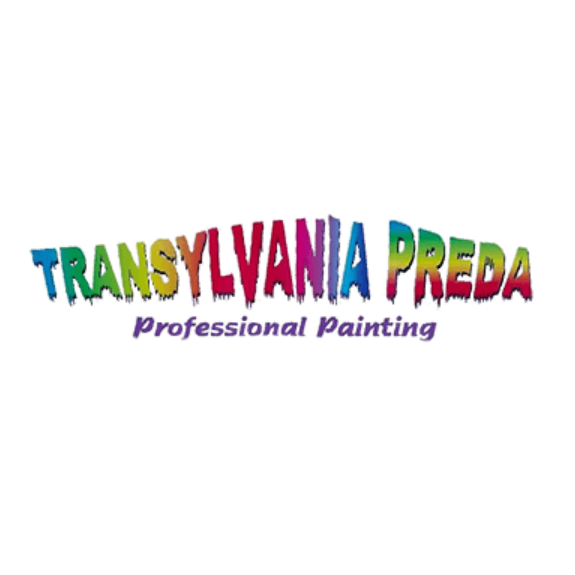 Transylvania Preda Professional Painting
