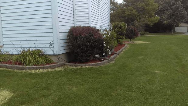 Images Lansing Real Green Lawn Care Inc