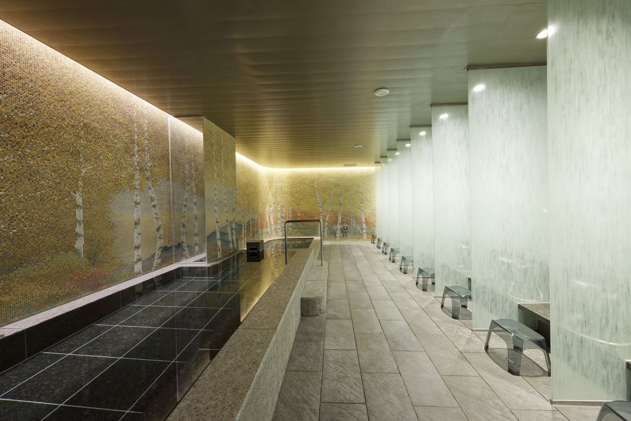 Images Holiday Inn & Suites Sapporo Odori Park by IHG