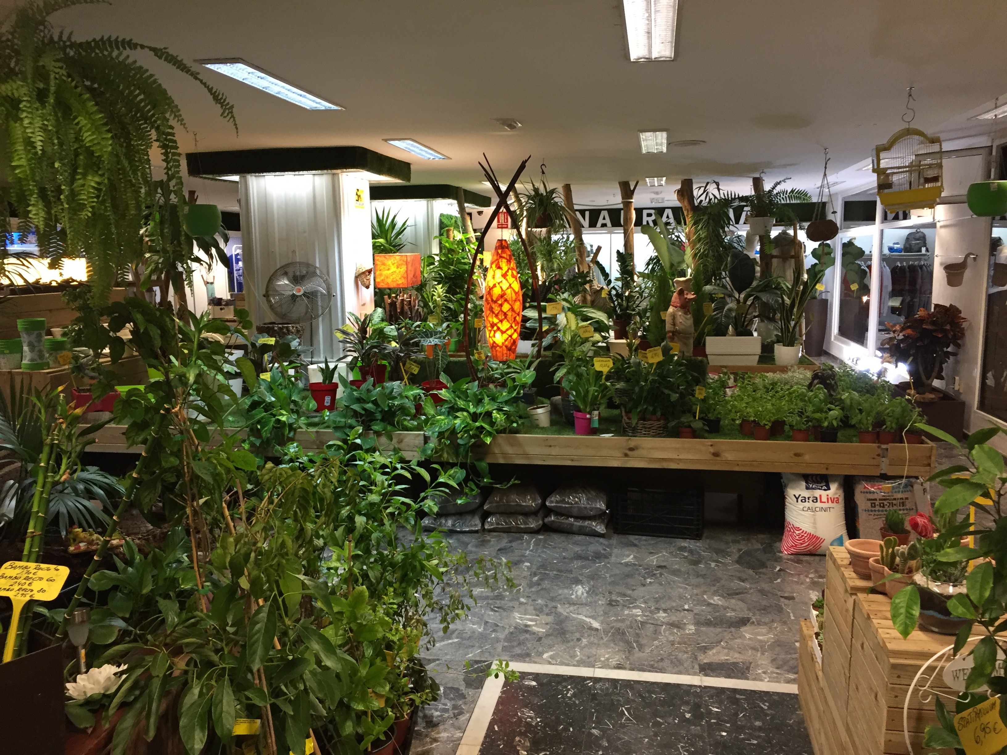 Images Grupo Anatura - La Casa De Las Semillas